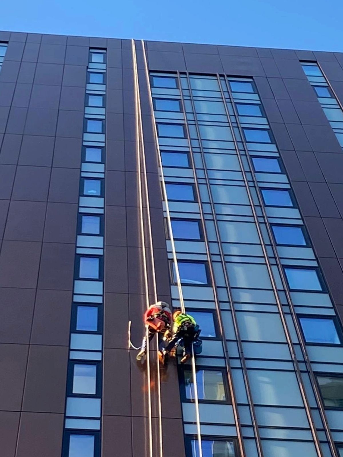 Adobe Express File 1